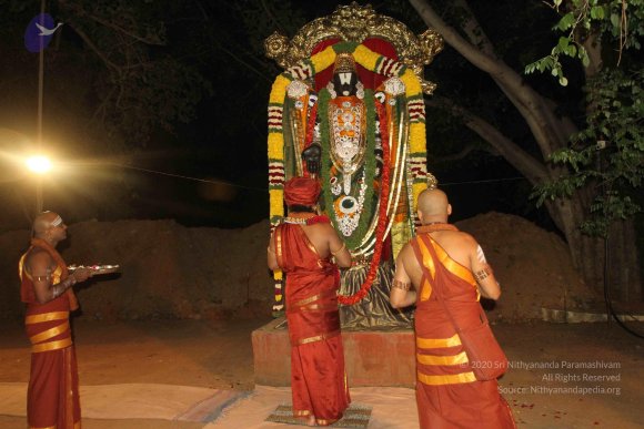 2015-July-31-_Photo_1128_IMG_3000_CMP_WM