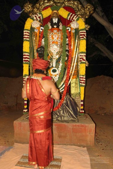 2015-July-31-_Photo_1129_IMG_3001_CMP_WM