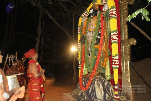 2015-July-31-_Photo_1130_IMG_3002_CMP_WM