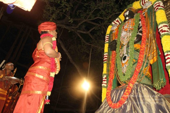 2015-July-31-_Photo_1132_IMG_3004_CMP_WM