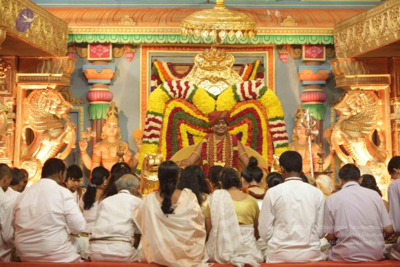 2015-July-31-_Photo_1043_IMG_3052_CMP_WM