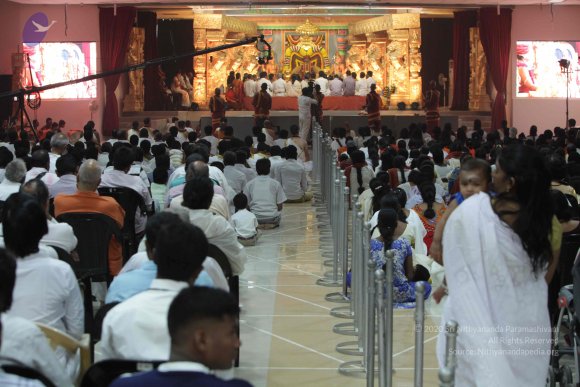 2015-July-31-_Photo_1057_IMG_3066_CMP_WM