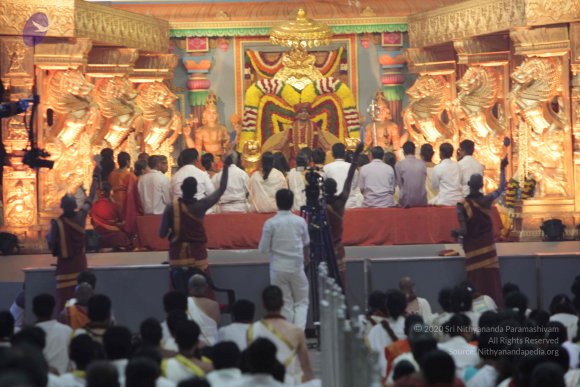 2015-July-31-_Photo_1059_IMG_3068_CMP_WM