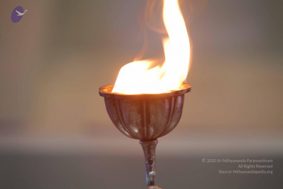 2015-July-31-_Photo_1088_IMG_3100_CMP_WM