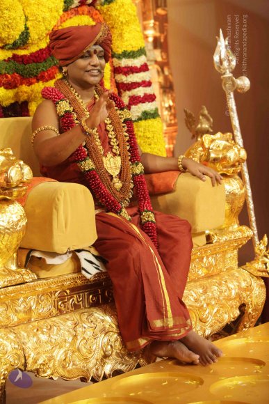 2015-July-31-_Photo_1037_IMG_3146_CMP_WM