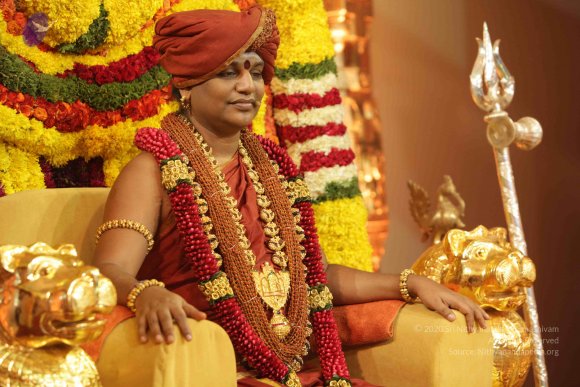 2015-July-31-_Photo_1041_IMG_3150_CMP_WM