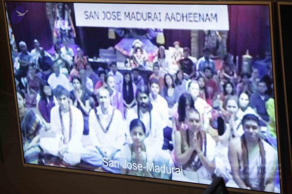 2015-July-31-_Photo_1042_IMG_3152_CMP_WM