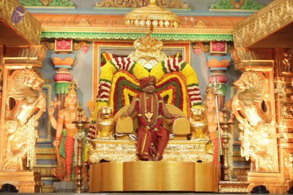 2015-July-31-_Photo_1064_IMG_3173 2_CMP_WM