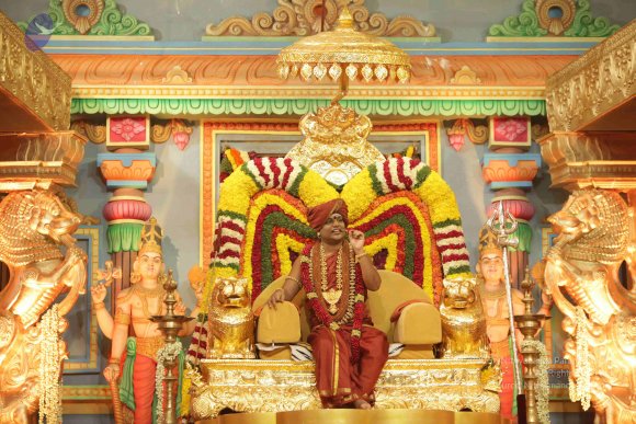 2015-July-31-_Photo_1069_IMG_3176_CMP_WM