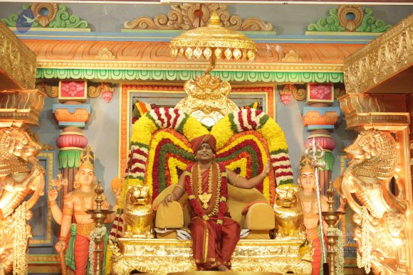 2015-July-31-_Photo_1070_IMG_3177_CMP_WM