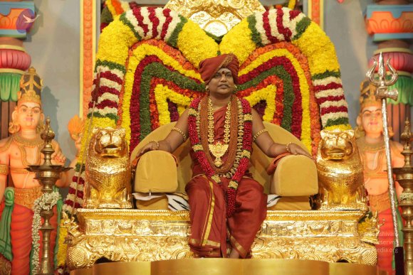 2015-July-31-_Photo_1111_IMG_3214_CMP_WM