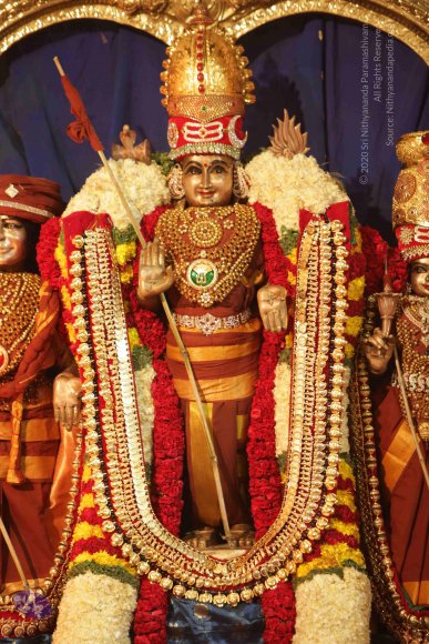 2015-July-31-_Photo_1159_IMG_3272_CMP_WM