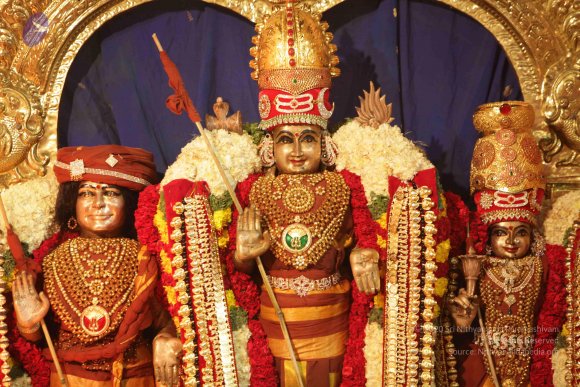 2015-July-31-_Photo_1162_IMG_3275_CMP_WM