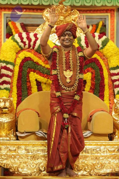 2015-July-31-_Photo_1147_IMG_3433_CMP_WM