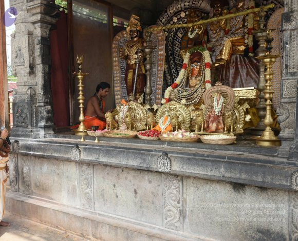 20150513_Photo_1046_DSC_3598_CMP_WM