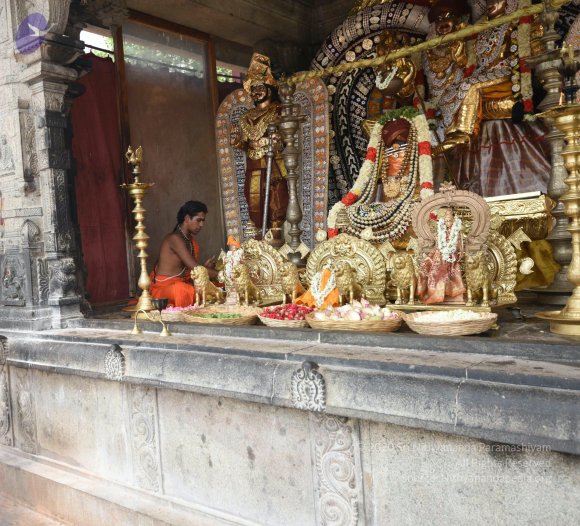 20150513_Photo_1051_DSC_3604_CMP_WM