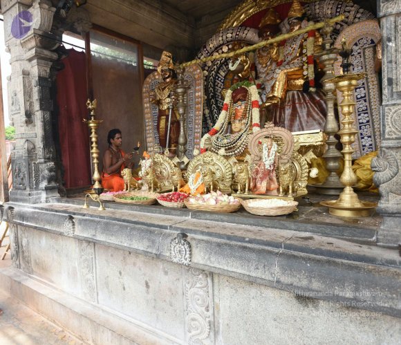 20150513_Photo_1052_DSC_3605_CMP_WM