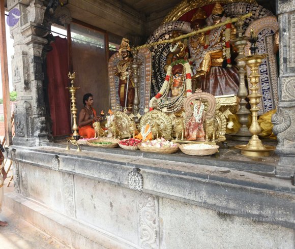 20150513_Photo_1053_DSC_3606_CMP_WM