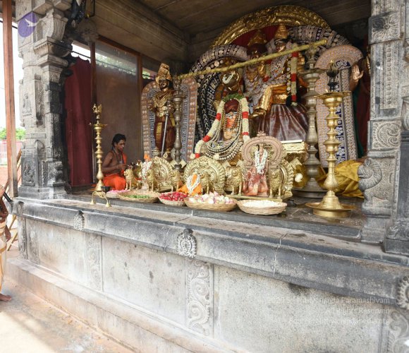 20150513_Photo_1054_DSC_3607_CMP_WM