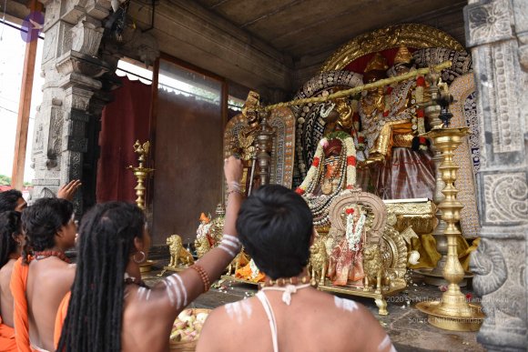 20150513_Photo_1067_DSC_3684_CMP_WM