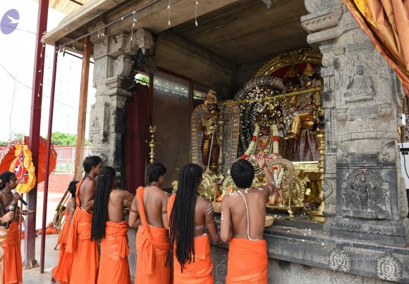 20150513_Photo_1075_DSC_3700_CMP_WM