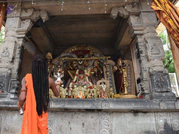 20150513_Photo_1077_DSC_3747_CMP_WM