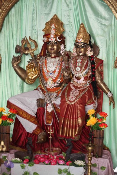 20150514_Photo_1003_IMG_1022_CMP_WM