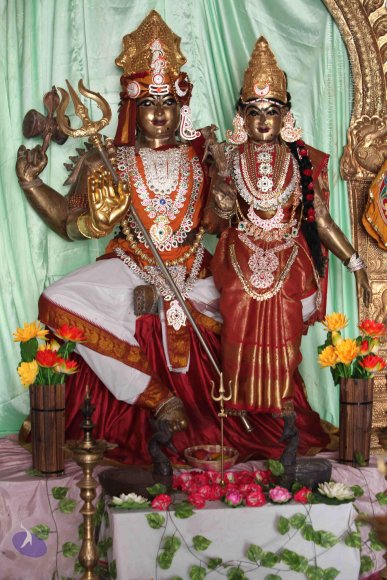 20150514_Photo_1007_IMG_1027_CMP_WM