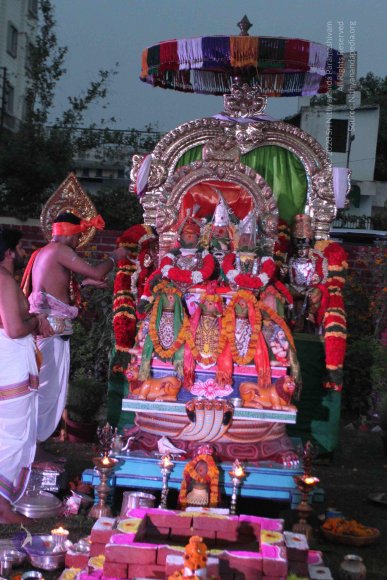 20150526_Photo_1033_IMG_5539_CMP_WM