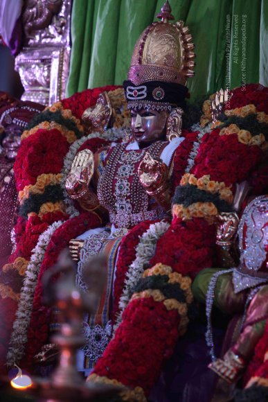 20150526_Photo_1039_IMG_5545_CMP_WM