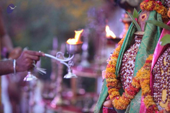 20150526_Photo_1057_IMG_5563_CMP_WM