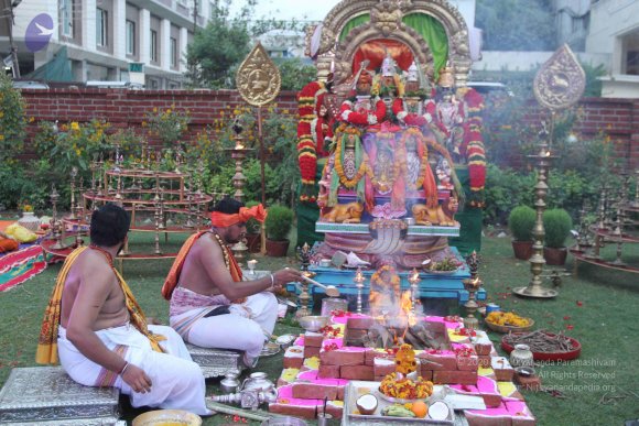 20150526_Photo_1070_IMG_5576_CMP_WM