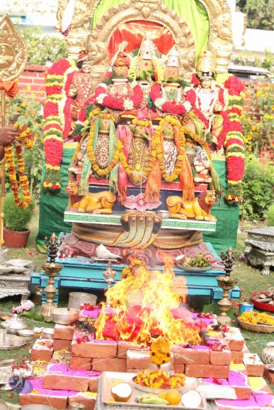 20150526_Photo_1128_IMG_5617_CMP_WM-1