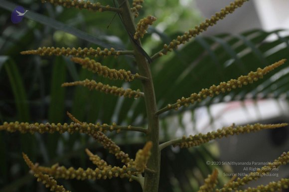 20150526_Photo_1135_IMG_5621_CMP_WM-2