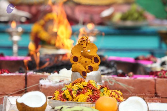 20150526_Photo_1169_IMG_5639_CMP_WM-1