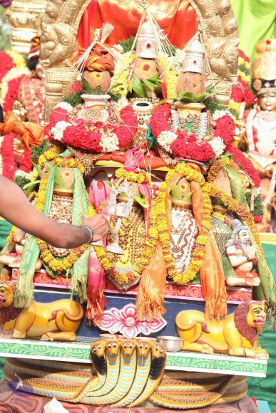 20150526_Photo_1209_IMG_5659_CMP_WM-1