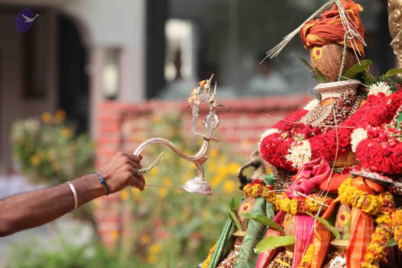 20150526_Photo_1214_IMG_5662_CMP_WM-1