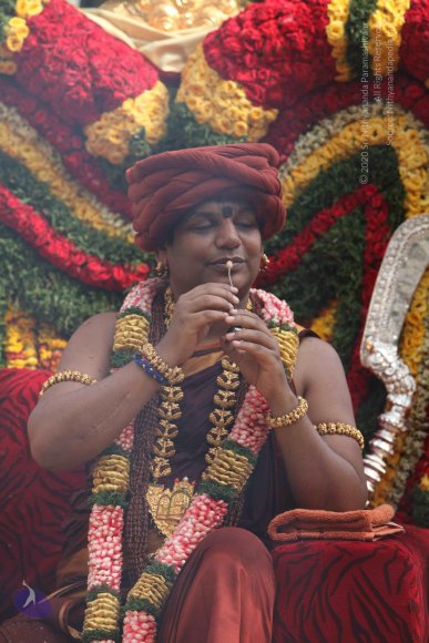 20150526_Photo_1414_IMG_5765_CMP_WM-1