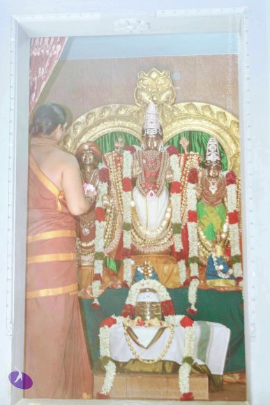 20150529_Photo_1021_file000137_CMP_WM