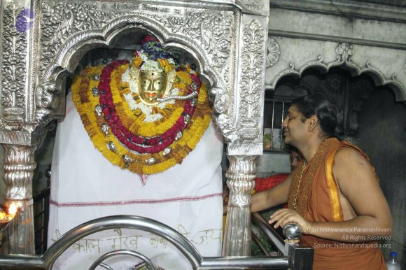 20150504_Photo_1001_IMG_6143_CMP_WM