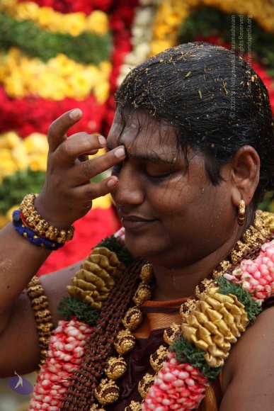 RUDRA-HOMA_Photo_1023_IMG_5741_CMP_WM