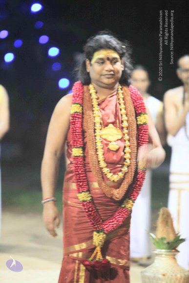 20151111_Photo_1007_IMG_3778_CMP_WM