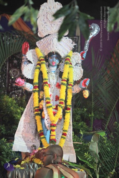 20151111_Photo_1020_IMG_3807_CMP_WM