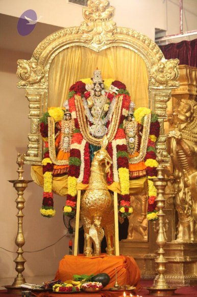 20151112_Photo_1018_IMG_4276.a76ef047d8d24c03823acdf41c4ee7c8_CMP_WM