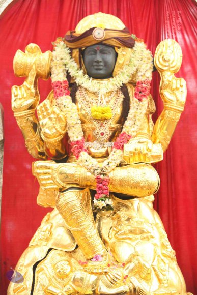 20151124_Photo_1002_IMG_2473_CMP_WM