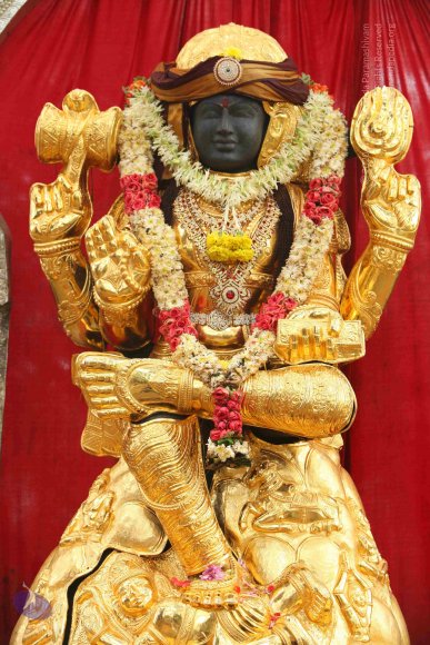 20151124_Photo_1003_IMG_2474_CMP_WM