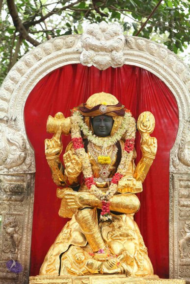 20151124_Photo_1004_IMG_2475_CMP_WM