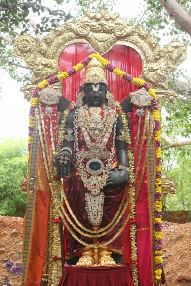 20151124_Photo_1005_IMG_2483_CMP_WM