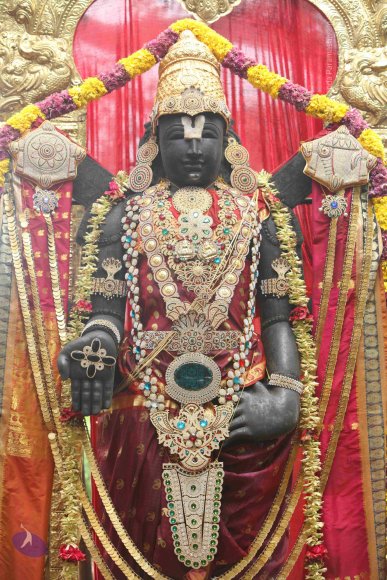 20151124_Photo_1006_IMG_2484_CMP_WM