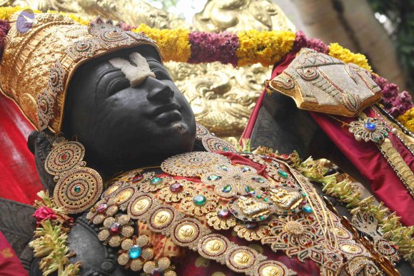 20151124_Photo_1007_IMG_2487_CMP_WM